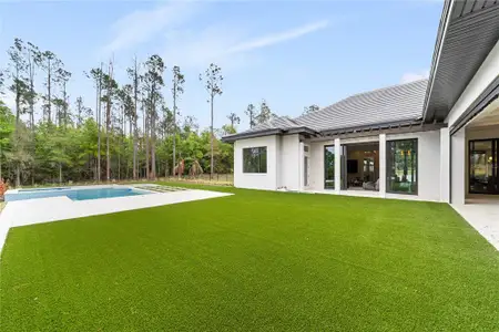 New construction Single-Family house 16989 Lucca Ln, Montverde, FL 34756 - image 3