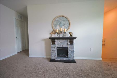 New construction Single-Family house 7917 Peace Lily Ave, Wesley Chapel, FL 33545 plan Valencia - image 14