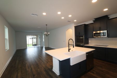 New construction Single-Family house 33227 Amling Pecan Br, Wesley Chapel, FL 33545 Newport II- photo 88 88