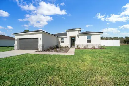 New construction Single-Family house 16195 Sw 48Th Cir, Ocala, FL 34473 - image