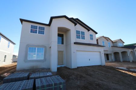 New construction Single-Family house 38338 Tobiano Loop, Dade City, FL 33525 Mira Lago- photo 98 98