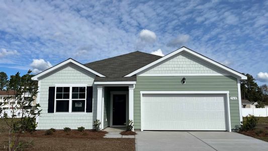 New construction Single-Family house 214 Ridley St, Longs, SC 29568 plan ARIA - image
