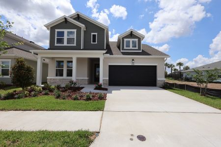 New construction Single-Family house 5346 Wolf Creek Dr, Apollo Beach, FL 33572 plan The Collins - image