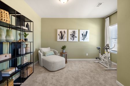 Foxtail Palms by Smith Douglas Homes in Manvel - photo 34 34