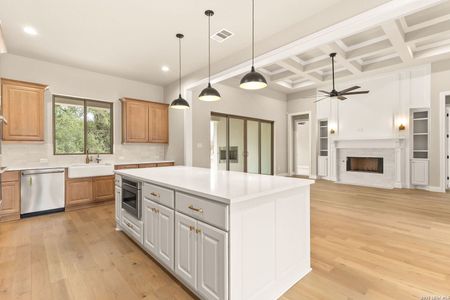 New construction Single-Family house 429 Eider Cv, Spring Branch, TX 78070 - image 11