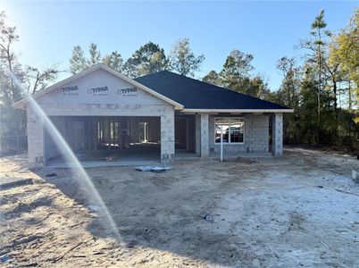 New construction Single-Family house 15128 Se 93Rd Ave, Summerfield, FL 34491 null- photo 0