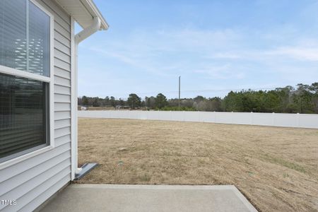 New construction Single-Family house 45 Nimble Way, Unit 180, Clayton, NC 27520 null- photo 25 25