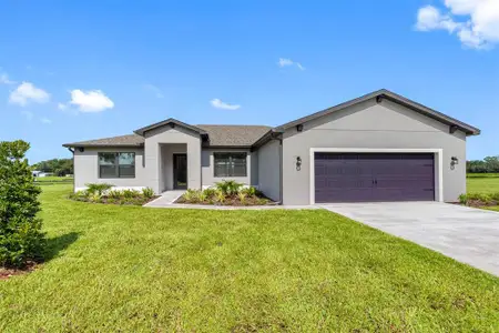 New construction Single-Family house 13501 Walden Sheffield Rd, Dover, FL 33527 - image