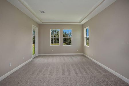 New construction Single-Family house 149 Hidden Estates Ct, Brandon, FL 33511 Key Largo II- photo 16 16