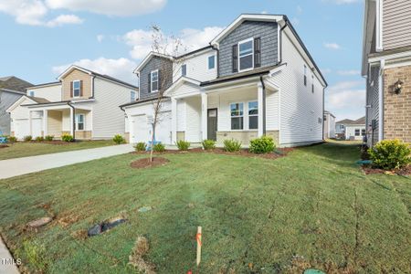 New construction Single-Family house 290 White Birch Ln, Angier, NC 27501 Johnson- photo 4 4