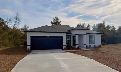New construction Single-Family house 16281 Sw 48Th Cir, Ocala, FL 34473 - image