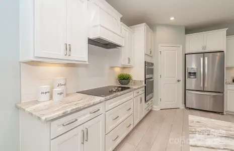 New construction Single-Family house 2024 Waxhaw Crossing Dr, Unit 255, Waxhaw, NC 28173 - image