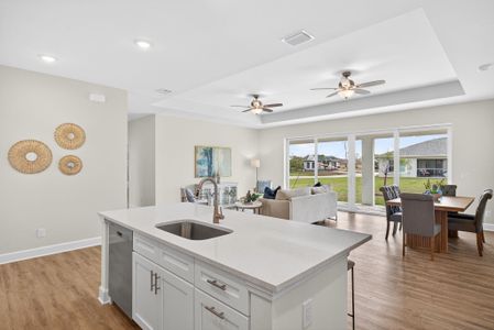 New construction Single-Family house 1135 Nw 13Th St, Cape Coral, FL 33993 plan The Bluewater Cove - image 19