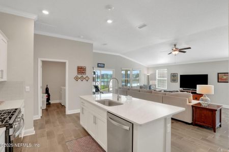 New construction Single-Family house 142 Dove Tree Ln, Saint Augustine, FL 32095 null- photo 12 12