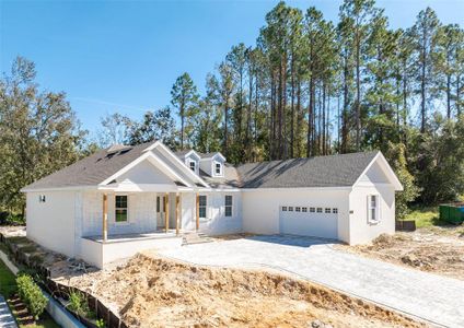 New construction Single-Family house 3926 Southern Valley Lp, Brooksville, FL 34601 - image