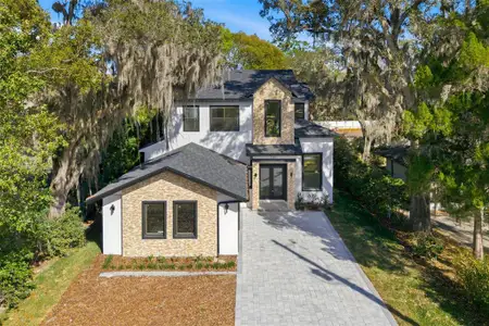 New construction Single-Family house 240 N Phelps Ave, Winter Park, FL 32789 - image