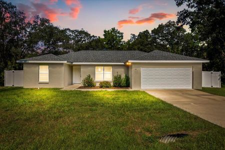 New construction Single-Family house 12 Fisher Trace Pl, Ocklawaha, FL 32179 - image