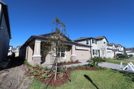 New construction Single-Family house 33227 Amling Pecan Br, Wesley Chapel, FL 33545 Newport II- photo 94 94