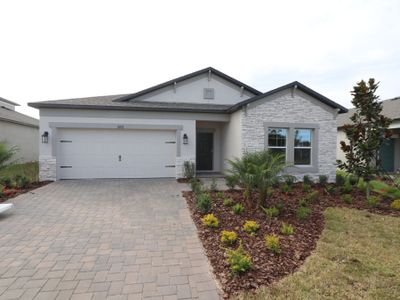 New construction Single-Family house 11827 Hilltop Farms Dr, Dade City, FL 33525 plan Marque - image
