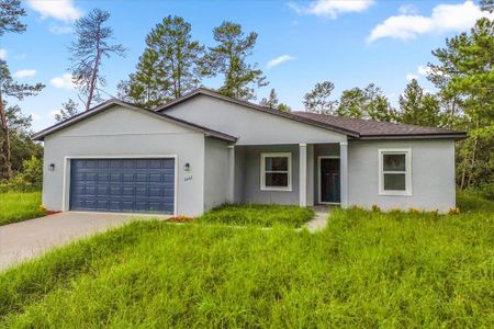 New construction Single-Family house 16862 Sw 40Th Cir, Ocala, FL 34473 - image