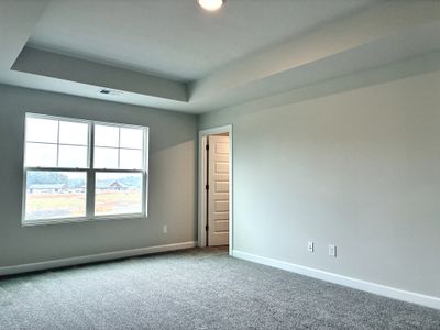 New construction Single-Family house 1524 Yellowwood Ct, Reidville, SC 29375 plan The Carson - image 15