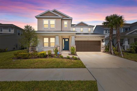 New construction Single-Family house 33555 Mainstay Ln, Wesley Chapel, FL 33543 - image