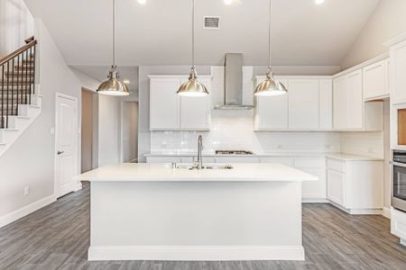 New construction Single-Family house 310 Hope Orchards Dr, Lavon, TX 75166 plan Trinity - image 13