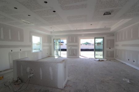 New construction Single-Family house 20264 Oriana Loop, Land O' Lakes, FL 34638 Santa Monica- photo 94 94