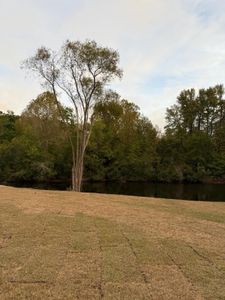 New construction Single-Family house 5063 Anavesta Park Ct, Hollywood, SC 29449 null- photo 11 11