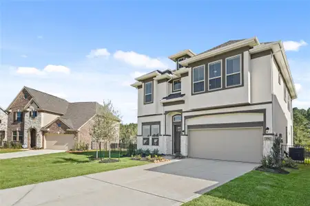 New construction Single-Family house 294 Peninsula Point Dr, Montgomery, TX 77356 plan Sloane II - image