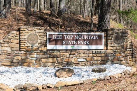 New construction Single-Family house 313 Cavalier Ln, Acworth, GA 30102 plan The Fenton - image