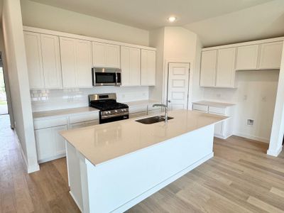 New construction Single-Family house 104 Divisadero Dr, Hutto, TX 78634 plan Brazos - image 8