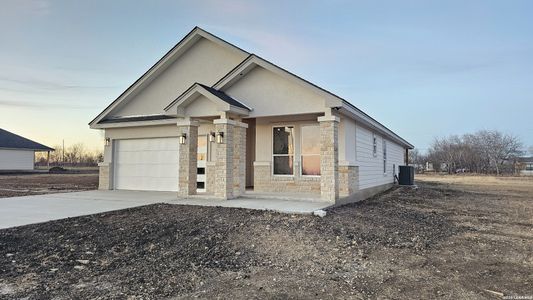 New construction Single-Family house 12611 Toro Dr, Atascosa, TX 78002 - image