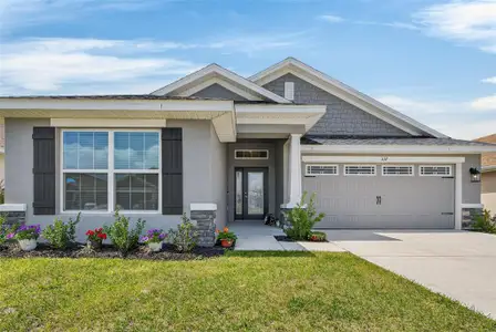 New construction Single-Family house 1137 Heron Point Dr, Inverness, FL 34453 - image