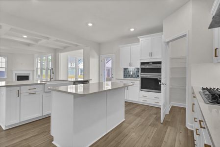 New construction Single-Family house 3335 Grand Park Wy, Leland, NC 28451 plan Warwick II - image 8