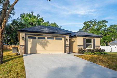 New construction Single-Family house 225 Hillside Ave, Umatilla, FL 32784 - image