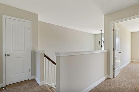 New construction Single-Family house 246 Pretty Run Branch Ln, Wendell, NC 27591 Brunswick- photo 12 12