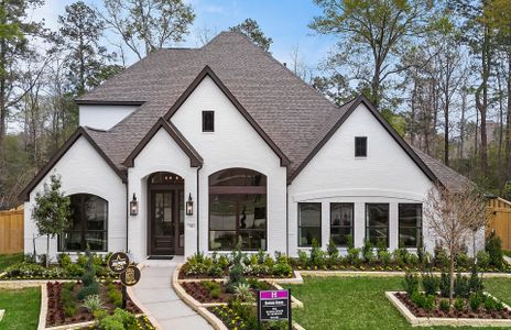 New construction Single-Family house 116 Founders Grove Lp, Willis, TX 77318 plan 3546 - image