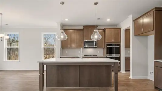 New construction Single-Family house 1908 Endress Cir, Hampton, GA 30228 plan Hampshire - image