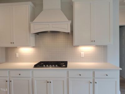 New construction Single-Family house 1077 Tulloch Ct, Unit 205, Burlington, NC 27215 - image 13