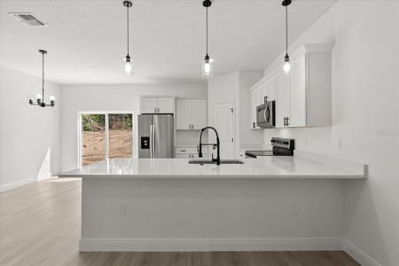 New construction Single-Family house 6571 N Bedstrow Blvd, Dunnellon, FL 34434 - image