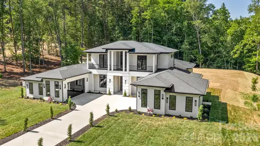 New construction Single-Family house 11220 Aubrey Elena Ct, Davidson, NC 28036 - image