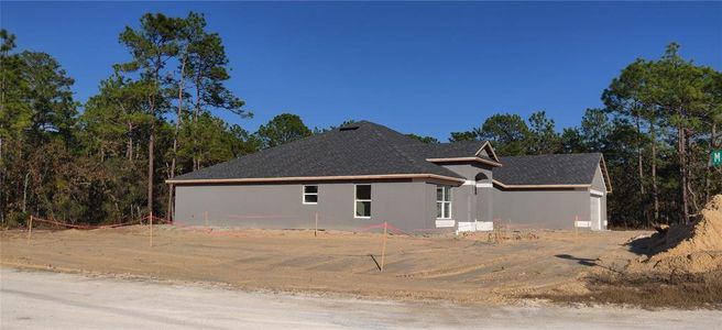 New construction Single-Family house 12029 Seabird Ave, Weeki Wachee, FL 34614 plan 2508 - image 19