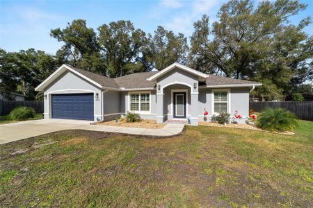New construction Single-Family house 3039 Se 142Nd Ln, Summerfield, FL 34491 - image