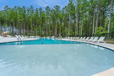 New construction Single-Family house 476 Rowley Lane, Summerville, SC 29486 Nantahala- photo 43 43