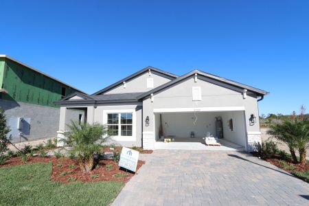 New construction Single-Family house 31229 Denham Ridge Ln, Wesley Chapel, FL 33545 Newport II- photo 50 50