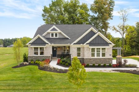 New construction Single-Family house 164 Hidden Fields Wy, Hoschton, GA 30548 plan Everett - image