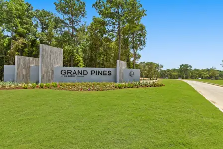 New construction Single-Family house 24856 Springbluff Valley Ct, Magnolia, TX 77355 Quincy- photo 17 17