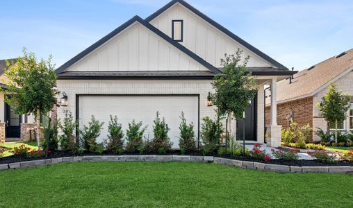 New construction Single-Family house 21515 Vineyard View Dr, Waller, TX 77484 plan Silver Maple II - image