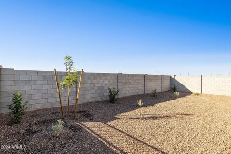 New construction Single-Family house 18403 W Desert Hollow Dr, Surprise, AZ 85387 Dove- photo 36 36